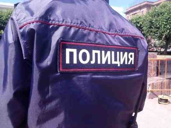 Полиция ищет насильника с модной стрижкой из Петергофа