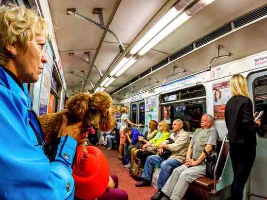 Проезд в метро в Петербурге стал дешевле