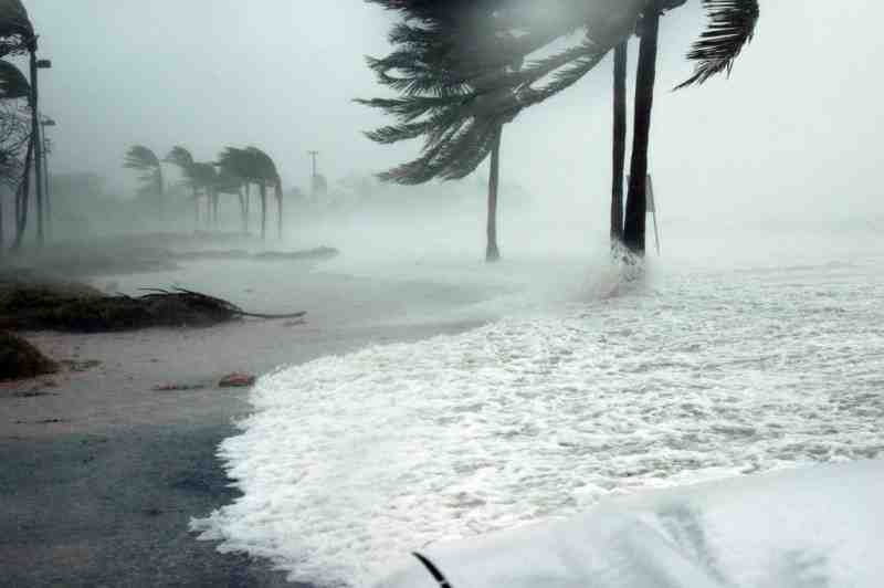 Ураган Дориан выбросил на пляжи Флориды пакеты с кокаином