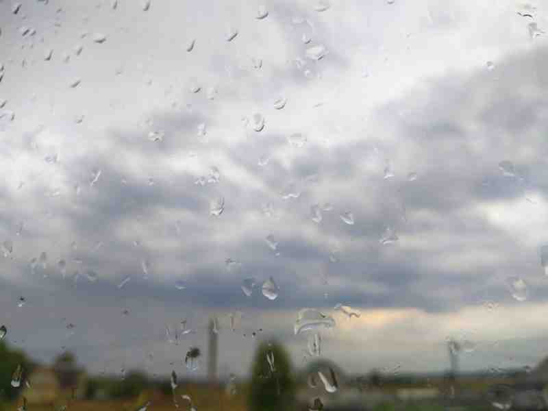 Понедельник в Ленобласти начнется с дождей