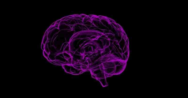 Ученые выяснили, что мозговая активность сокращает жизнь |