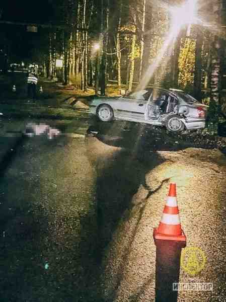 В Ленобласти пьяный водитель врезался в дерево, погибла пассажирка