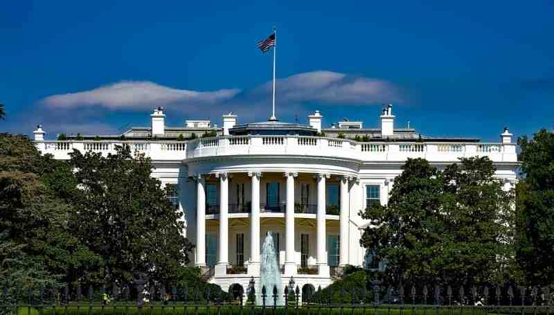 С потолка Белого дома в США падают мыши