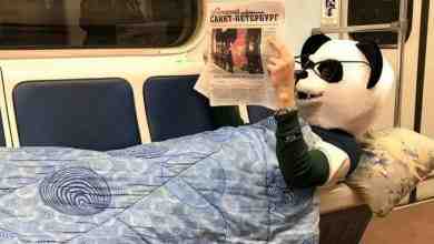 Человек в ростовом костюме панды развлекал пассажиров Петербургского метрополитена в воскресенье. Причем он не…