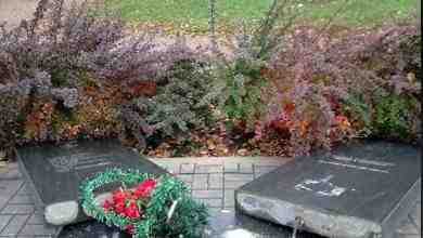 В Колпине сломали памятник жертвам радиационных аварий и катастроф. Инцидент произошел вечером 8 октября…