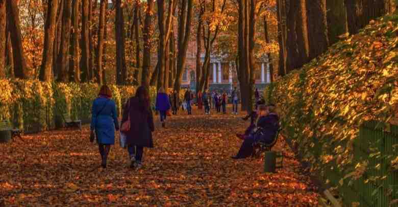Золотая осень в Летнем саду. Фото: natalia_krasnova_