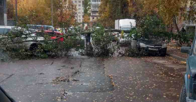 На Индустриальном 15 дерево упало на припаркованные автомобили