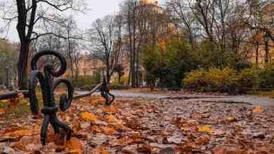 Александровский сад. Фото: taksvetlo