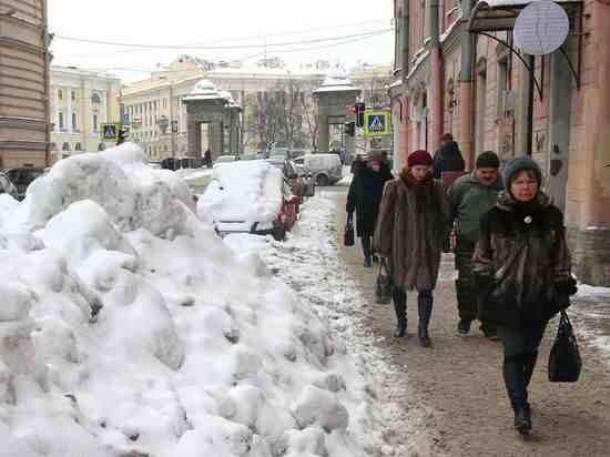 УФАС Петербурга заявило о наличии в городе «снежного» картеля