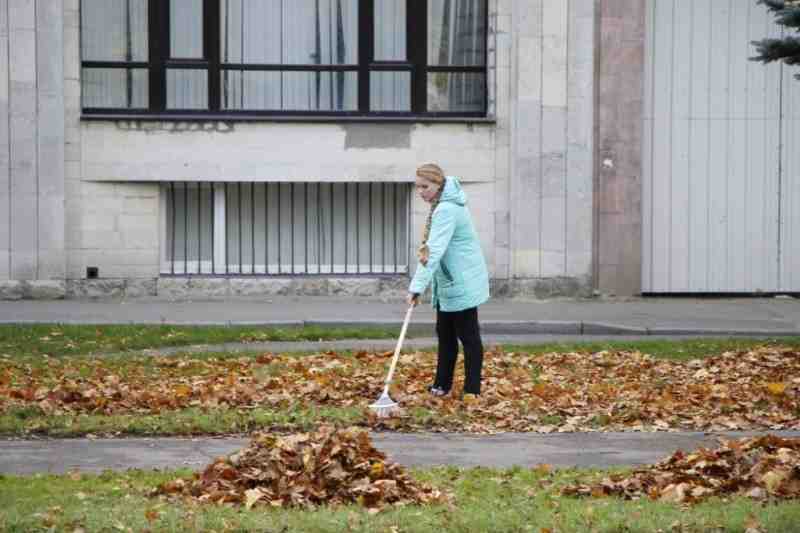 Петербуржцы смогут оценить качество уборки в своем районе