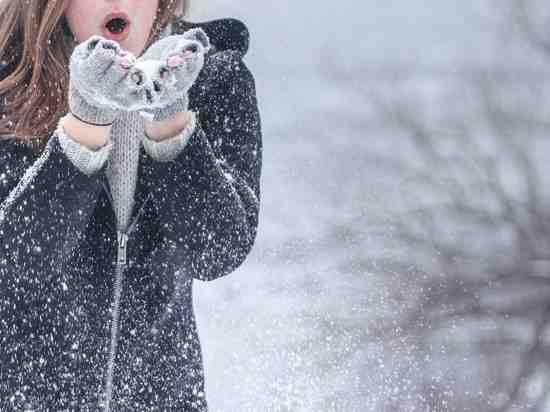 Синоптики рассказали, какую погоду ждать петербуржцам в декабре
