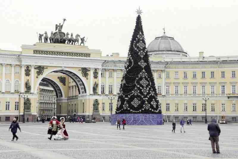Живая новогодняя ель может вернуться на Дворцовую площадь
