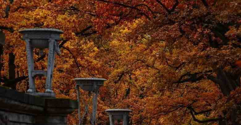 Осень в Пушкине