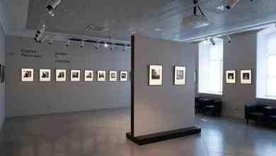 Галерея Art of Foto Галерея Art of Foto проводит выставки чёрно-белой аналоговой фотографии, представляющей…
