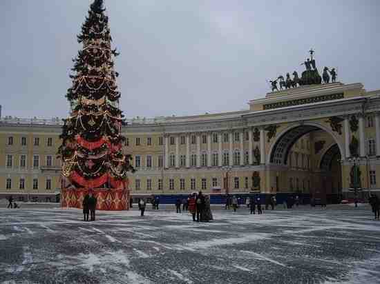 Власти Петербурга решили вернуть на Дворцовую живую новогоднюю ель