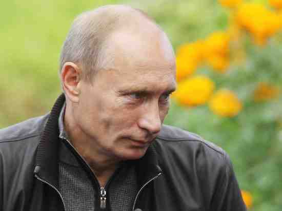 Перед приездом Путина в Петербурге замаскировали свалку