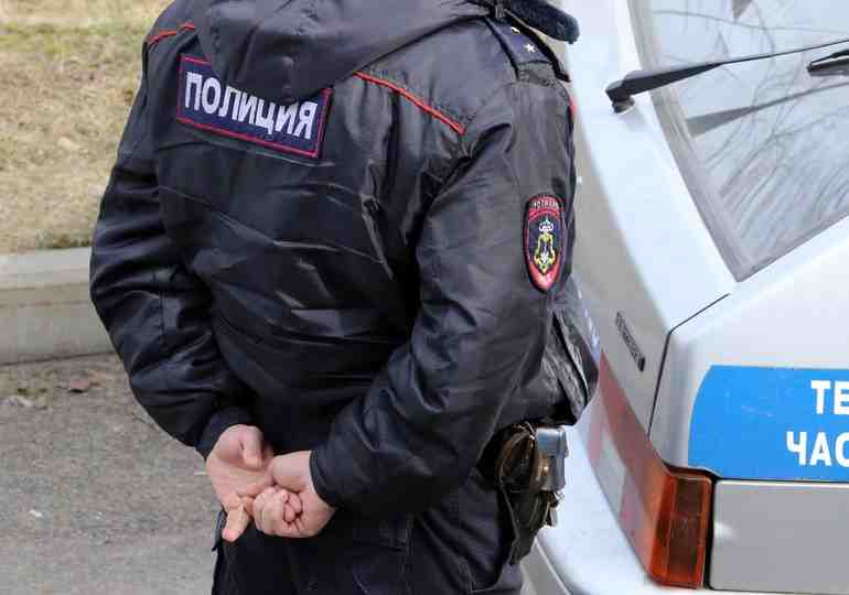 Полиция составила портрет типичного преступника в России