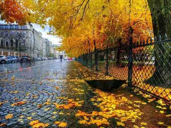 Синоптики и народные приметы сулят Петербургу теплый ноябрь