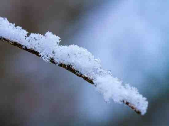 Первый день зимы в Петербурге будет ветреным и немного снежным