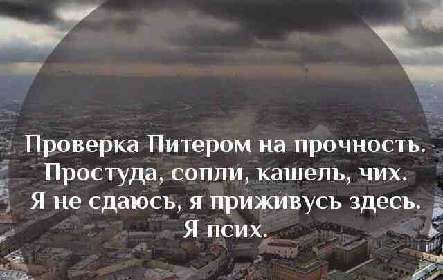Любимый Петербург