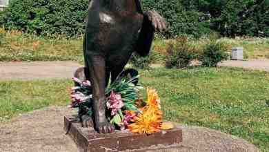 Памятник бездомному псу Юрику в Новой Ладоге Дворняга Юрик появился в Новой Ладоге около…