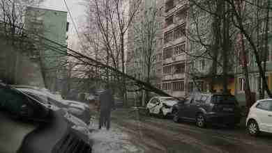 Во дворе Шостаковича д. 1/9 упало дерево, проезда нет. Морда машины после ДТП, дерево…