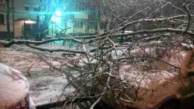 Сегодня ночью, около Кржижановского 13 упало дерево, прямо на машину. Службы приехали быстро