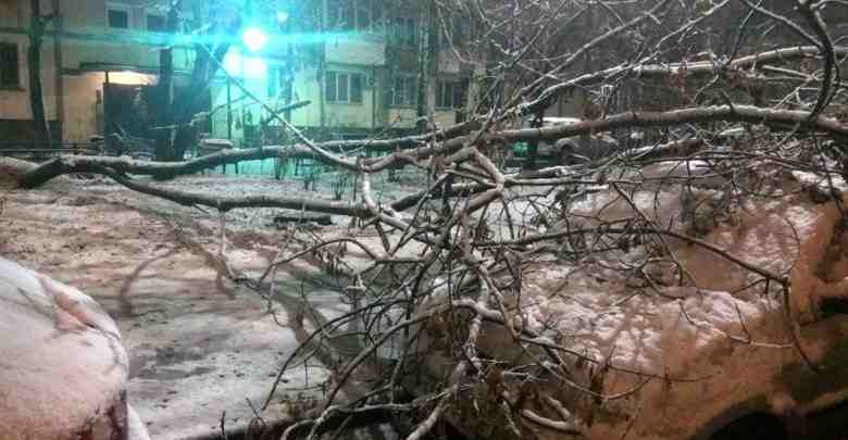 Сегодня ночью, около Кржижановского 13 упало дерево, прямо на машину. Службы приехали быстро