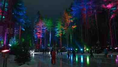 Лесной каток в Охта-парке Каток на курорте «Охта Парк» по праву считается самым ярким…