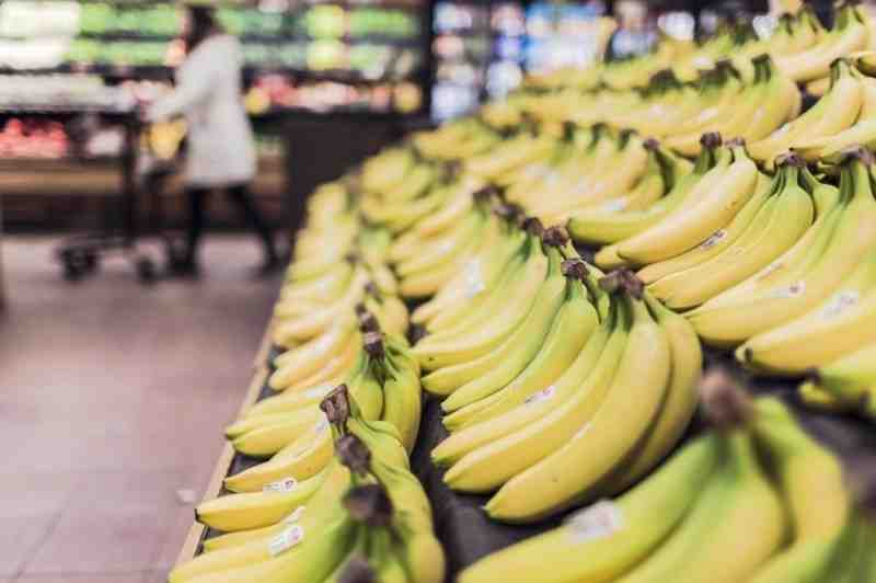 Россельхознадзор: в Петербург могли завести бананы с мухами-горбатками