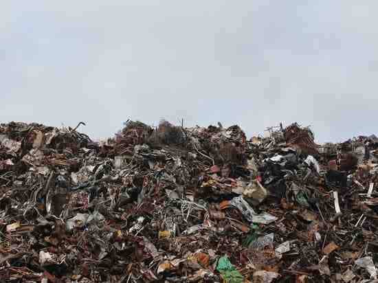 Петербург договорится с Ленобластью об утилизации мусора