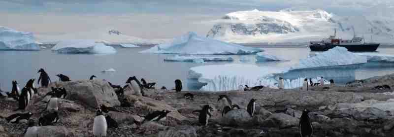 Мозг полярников начал уменьшатся после долгого пребывания в Антарктиде