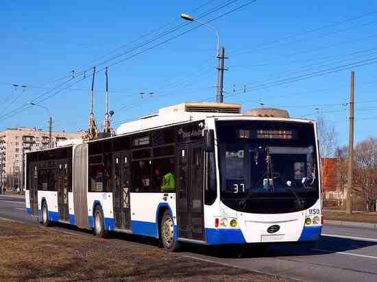 В Петербурге появятся новые троллейбусы-«гармошки» и электробусы