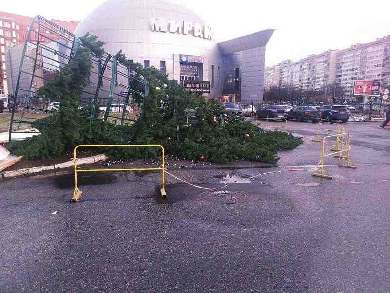МЧС подсчитало количество упавших в Петербурге деревьев и крыш