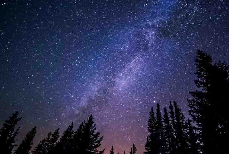 Петербуржцы смогут наблюдать за падающими звездами в самую длинную ночь года |