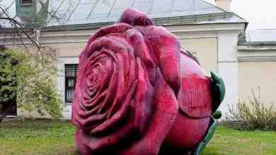 Неформальные достопримечательности Петербурга Cкульптура Розы ростом с человека Во дворе нового выставочного зала Государственного…