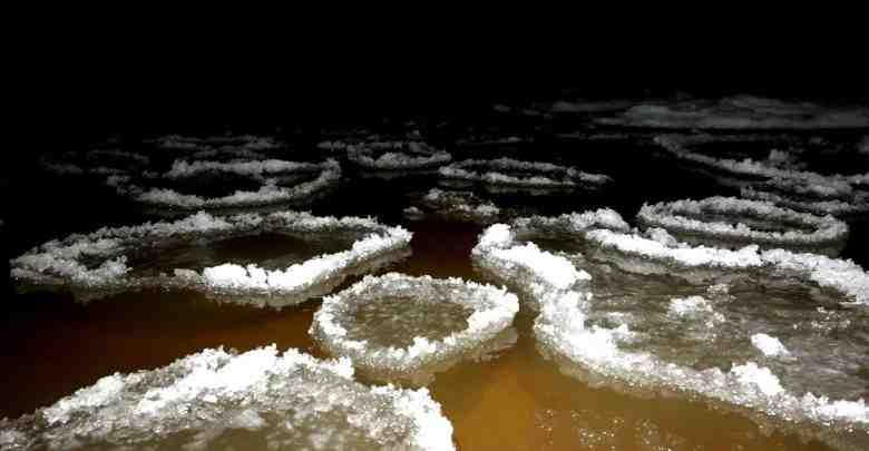 На Ладожском озере образовались ледяные круги. Это заметил кандидат биологических наук Павел Глазков. В…
