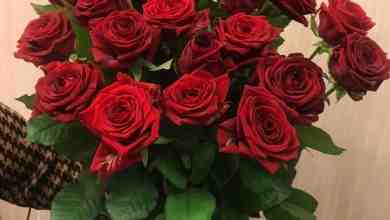 АКЦИЯ на Российскую розу!!!!! Красная роза 50см — 49 рублей Цветная…