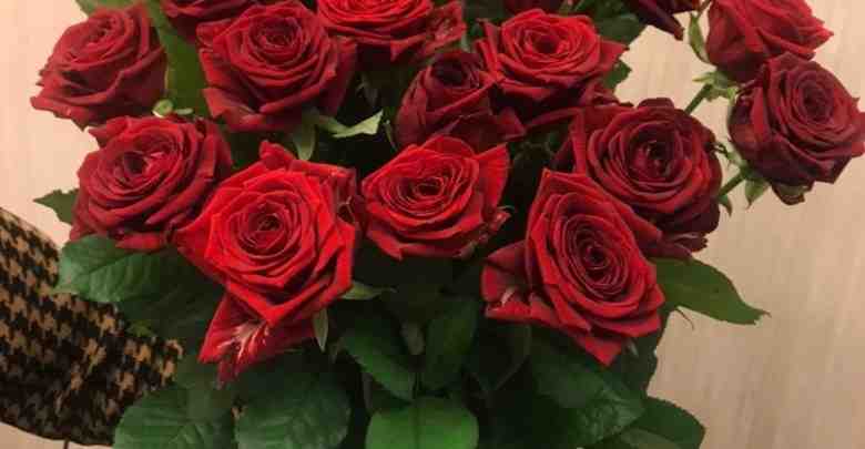АКЦИЯ на Российскую розу!!!!! Красная роза 50см — 49 рублей Цветная…