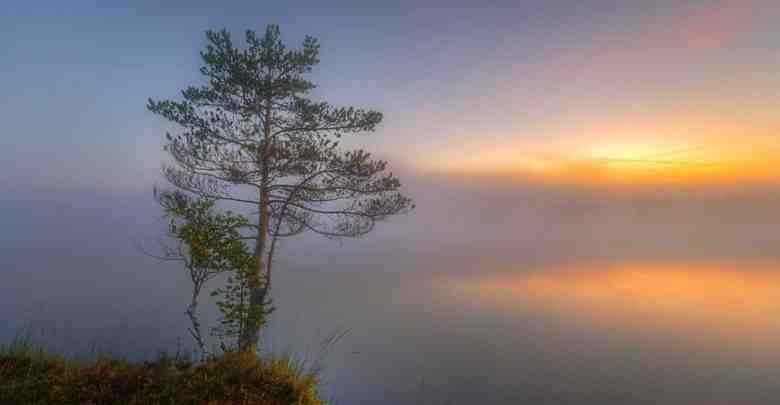 Природа Ленинградской области Фото: eduard_gordeev_