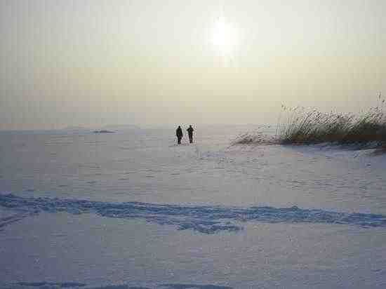 Два мальчика провалились под лед Дудергофского канала