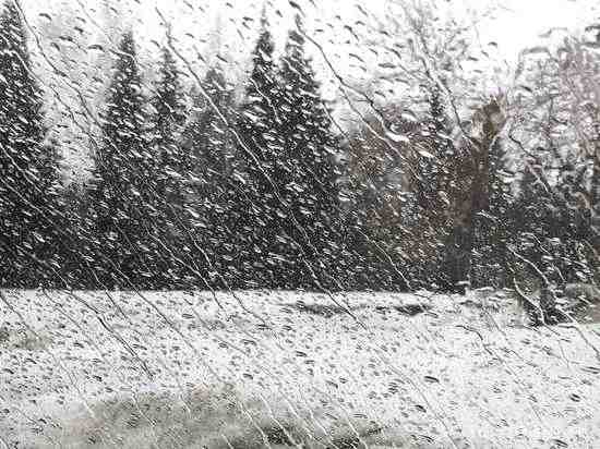 Петербург 16 февраля ждут дожди, снег и сильный ветер