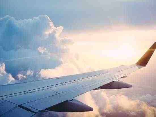 На борту самолета из Петербурга пассажирка устроила дебош