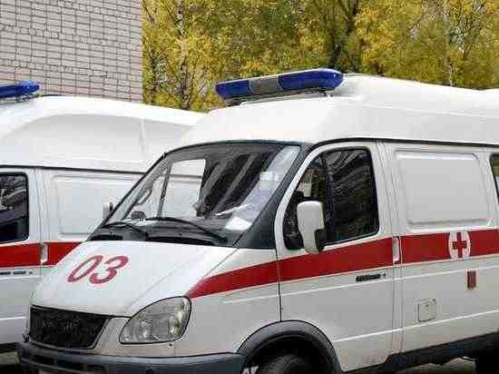 Восемь человек погибли в страшном ДТП на трассе Петербург - Невель