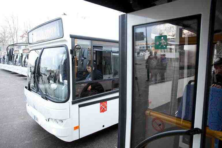 На улицы Петербурга выйдут 900 новых больших автобусов