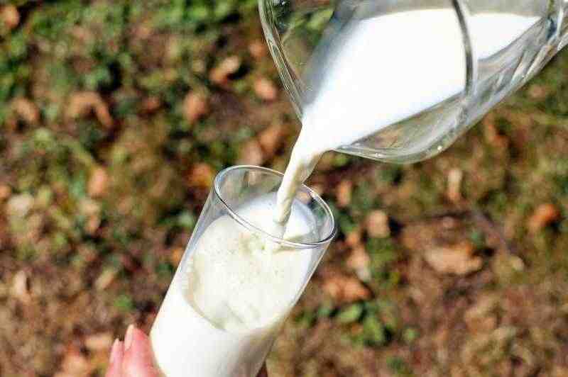 В Роскачестве рассказали о плюсах и минусах растительных аналогов молока