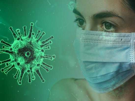 В Петербурге создадут приложение с информацией о коронавирусе