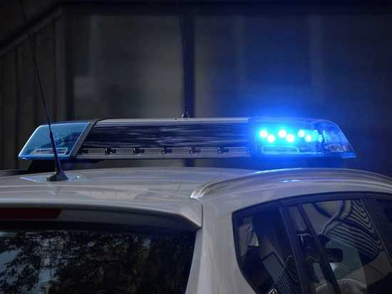 Полиция во Всеволожске остановила нетрезвого мигранта за рулем