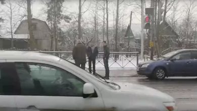 Сбили пешехода на Красносельском шоссе у остановки «Дачная улица». Пешеход лежит на асфальте, рядом…