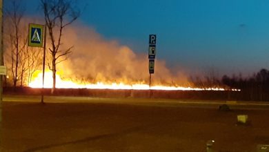 Сжигание травы вышло из под контроля. Огромное пламя через дорогу от Ленты на Петергофском…